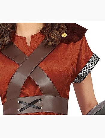 Fantasia de Guerreiro Viking Nórdico