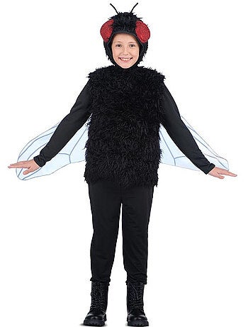Fantasia de mosca com chapéu e asas.