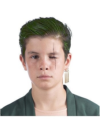 Fantasia de Roronoa Zoro de uma peça