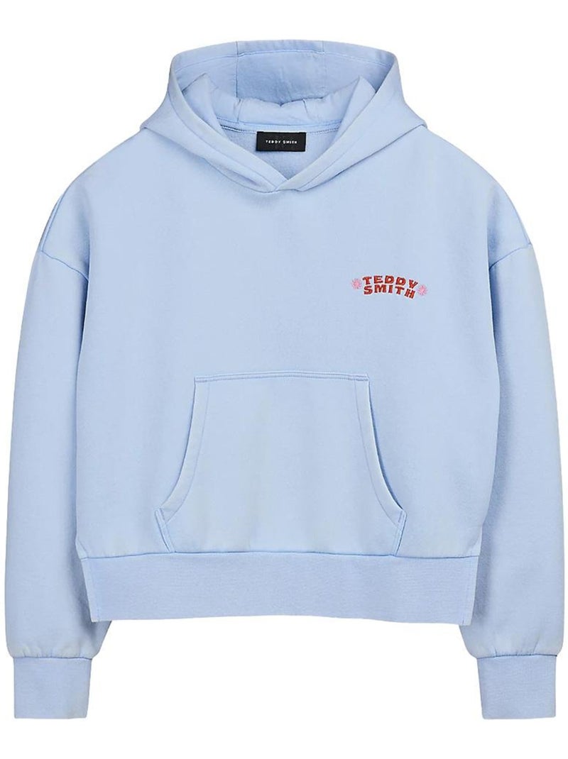 Hoodie teddy smith azul pastel para rapaz Azul - Kiabi