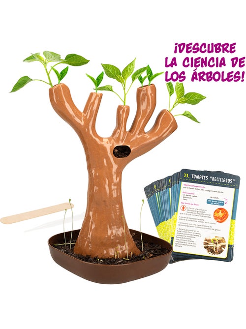 Laboratório botânico lisciani c/ 50 experimentos científicos i'm a genius - Kiabi Laboratório botânico lisciani c/ 50 experimentos científicos i'm a genius - Kiabi