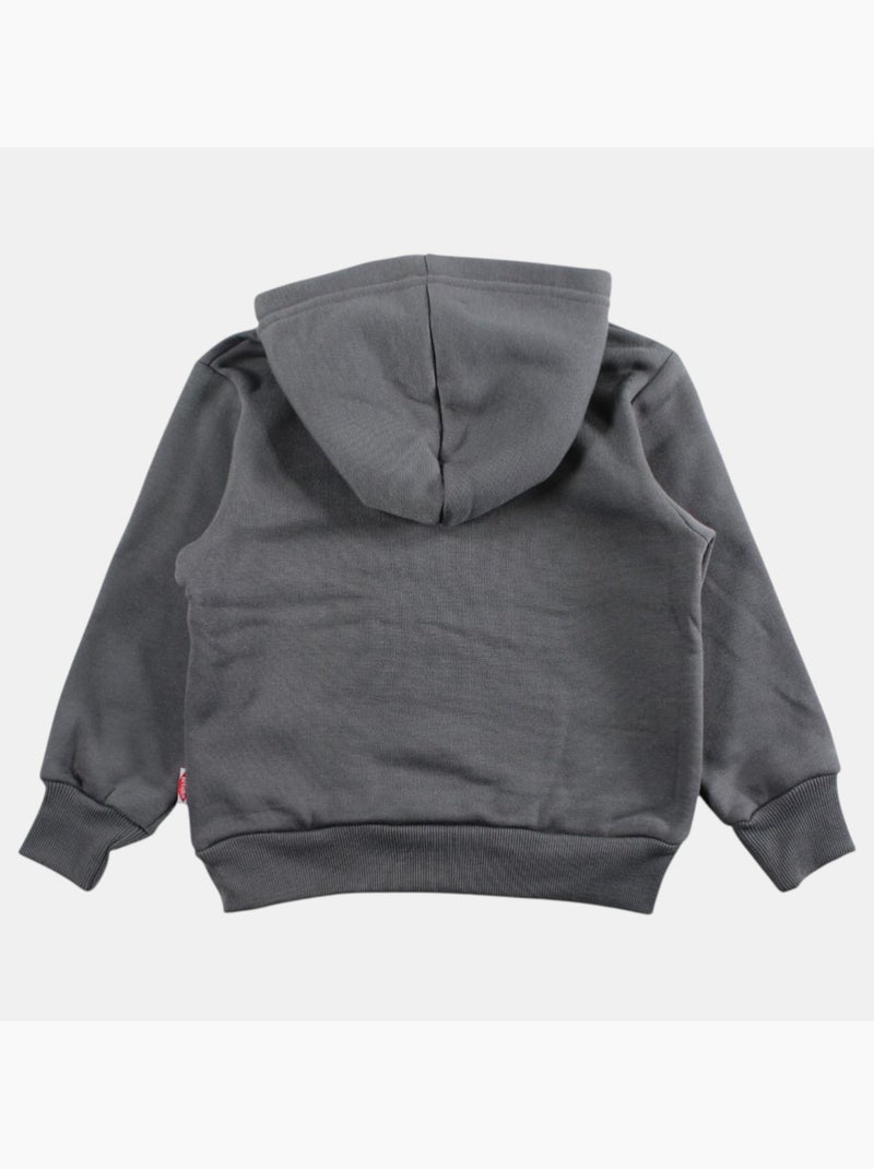 Lee Cooper - Sweat com capuz menino estampado Cinza antracite - Kiabi