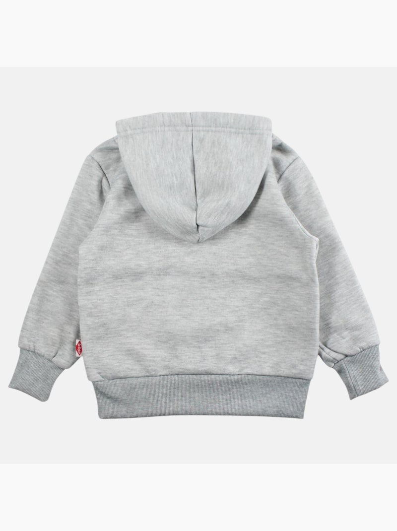 Lee Cooper - Sweat com capuz menino estampado Cinza - Kiabi