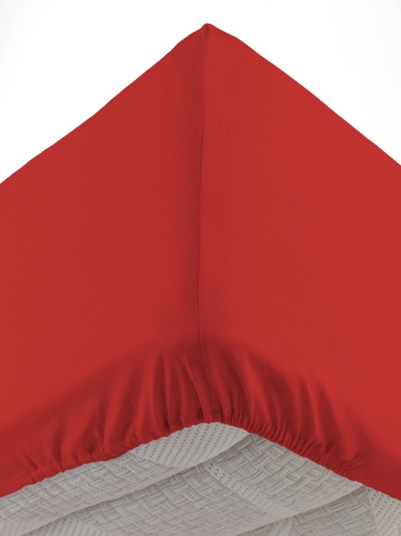 Lençóis com elástico algodão noa promo linge Vermelho - Kiabi