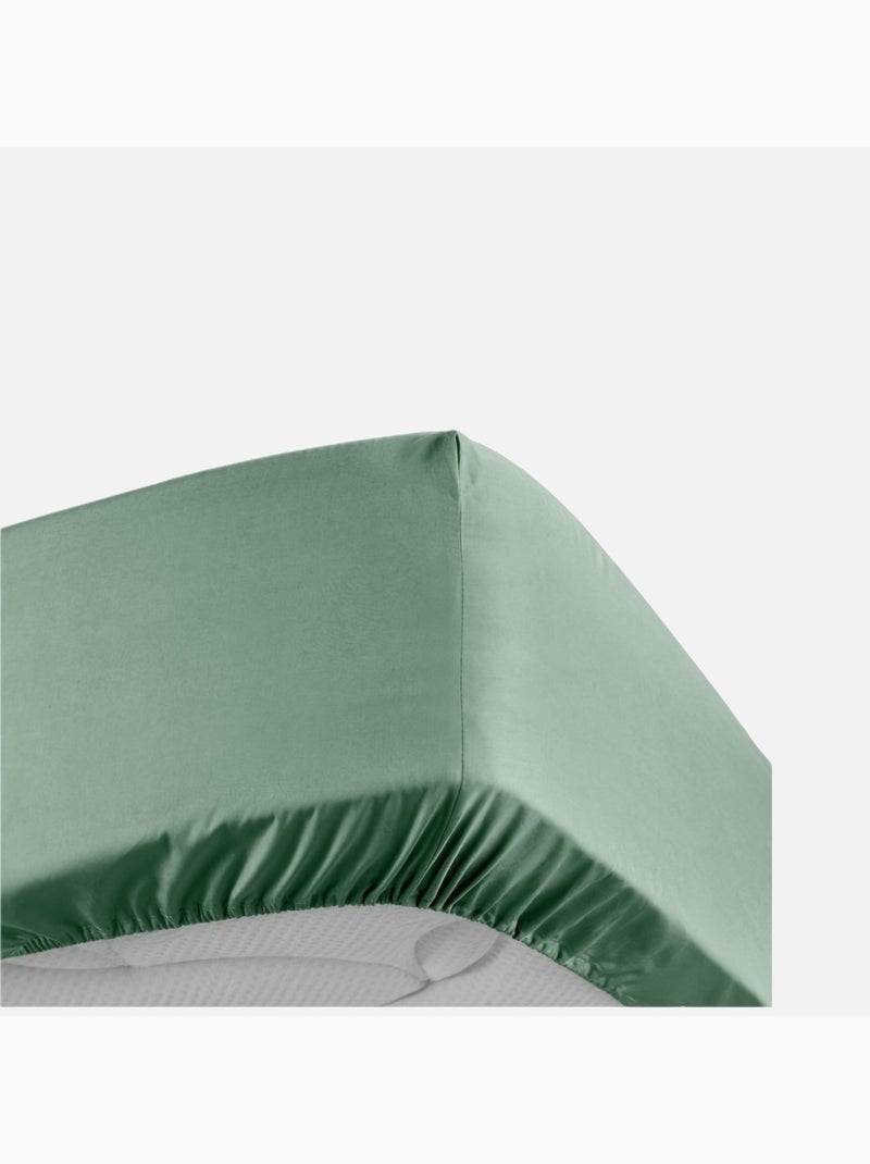 Lençóis com elástico percal de algodão lia promo linge Verde tília - Kiabi