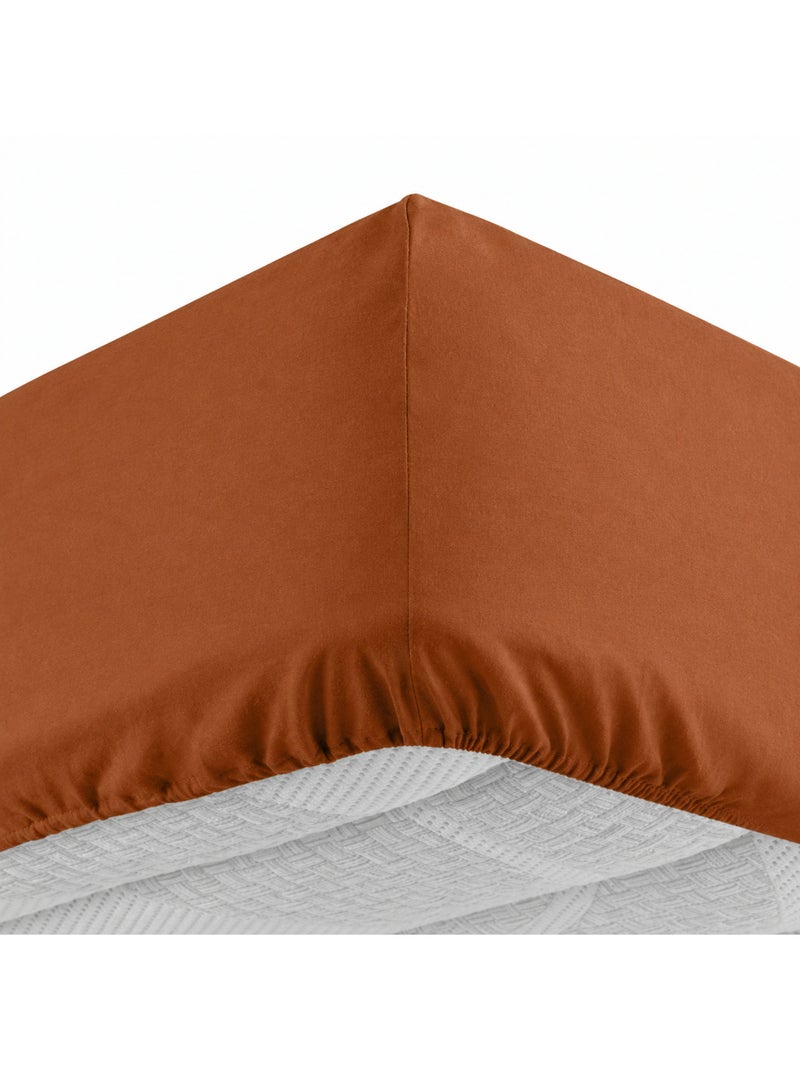 Lençol com elástico algodão lina douceur d'intérieur Castanho-caramelo - Kiabi