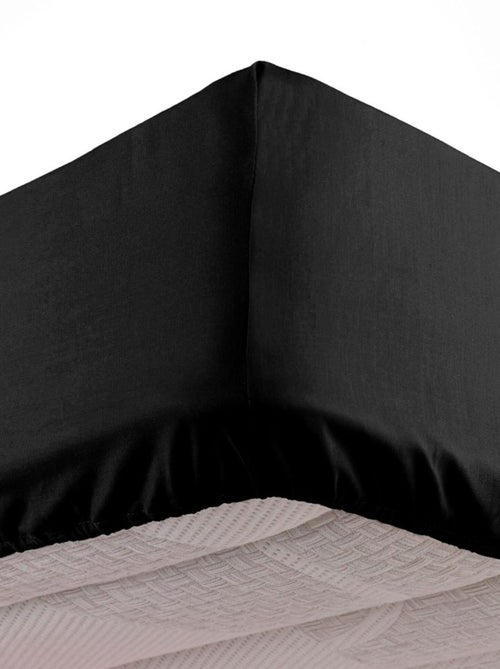 Lençol com elástico microfibra oscar douceur d'intérieur - Kiabi