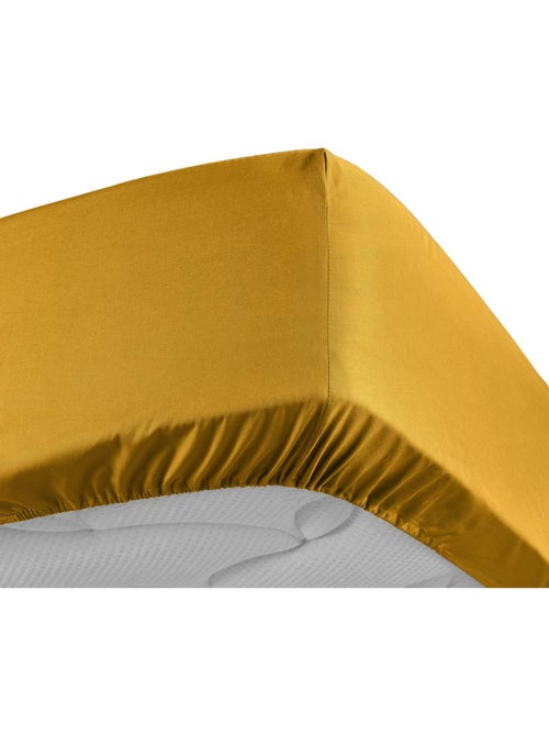 Lençol com elástico percal de algodão percale douceur d'intérieur - Kiabi Lençol com elástico percal de algodão percale douceur d'intérieur - Kiabi