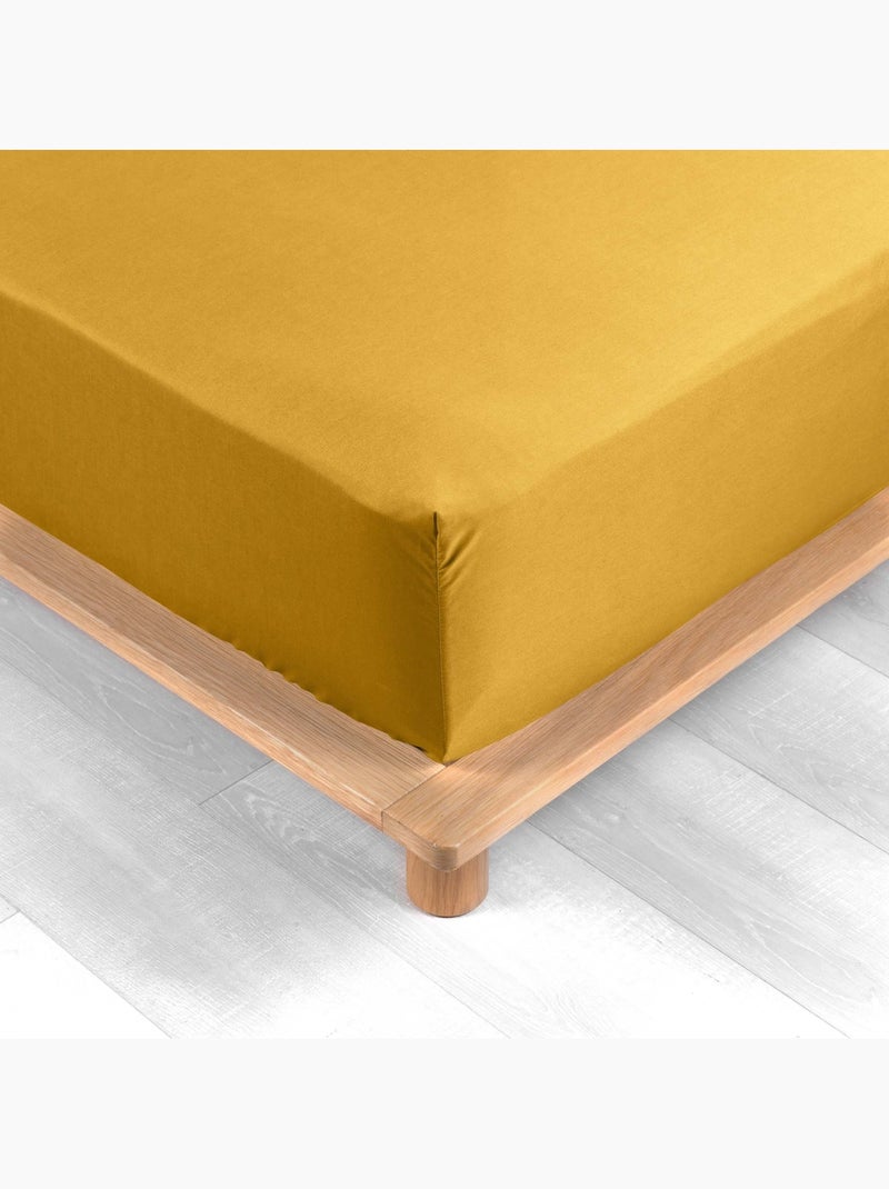 Lençol com elástico percal de algodão percale douceur d'intérieur Amarelo - Kiabi