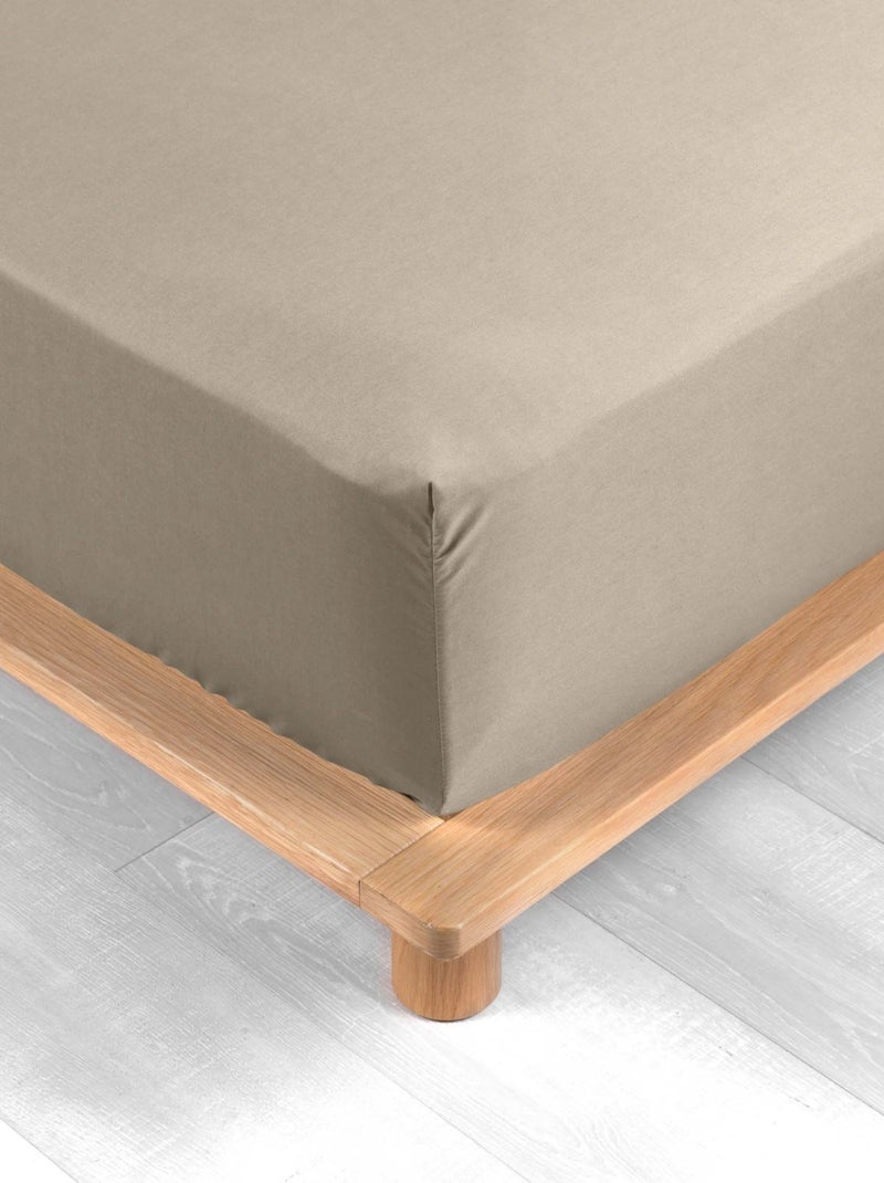 Lençol com elástico percal de algodão percale douceur d'intérieur Bege-areia - Kiabi