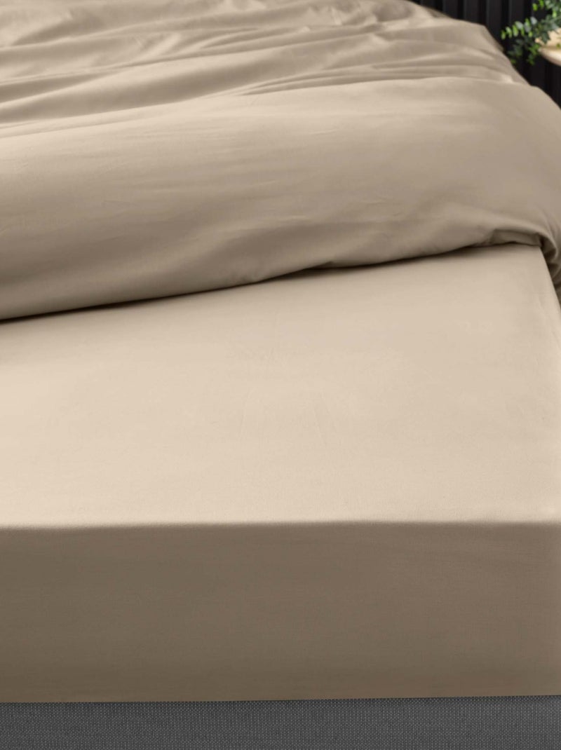 Lençol com elástico percal de algodão percale douceur d'intérieur Bege-areia - Kiabi