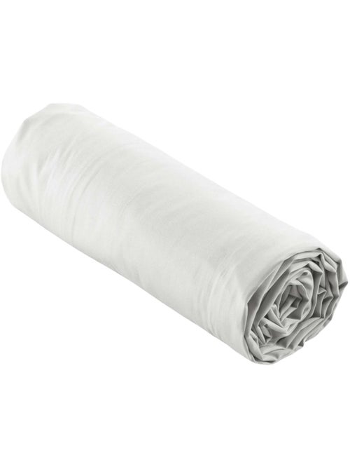 Lençol com elástico percal de algodão percale douceur d'intérieur - Kiabi Lençol com elástico percal de algodão percale douceur d'intérieur - Kiabi