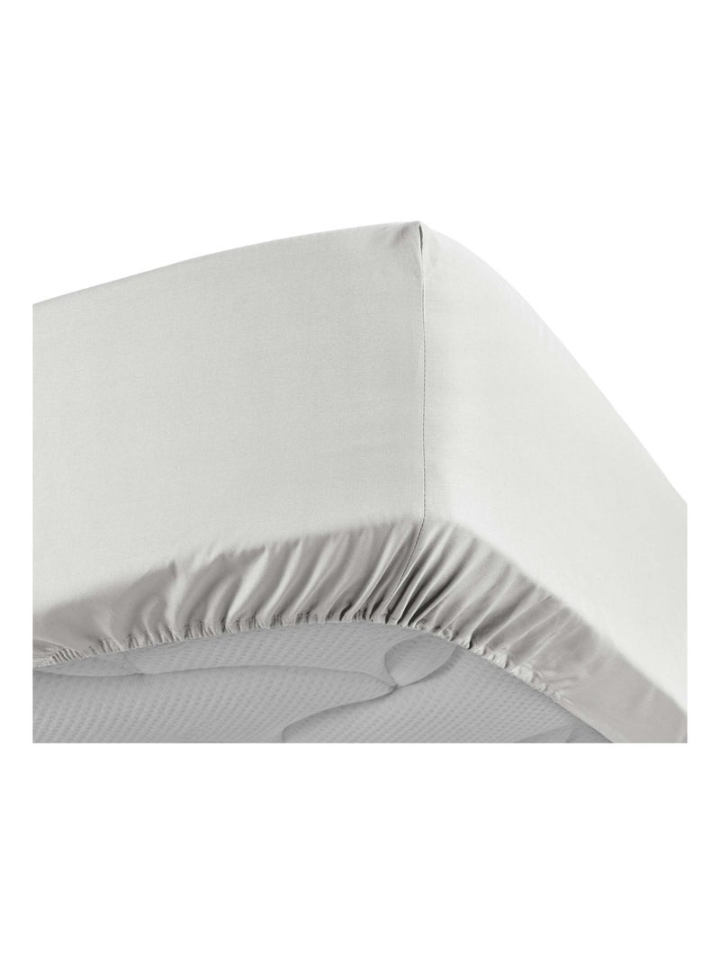 Lençol com elástico percal de algodão percale douceur d'intérieur Branco - Kiabi
