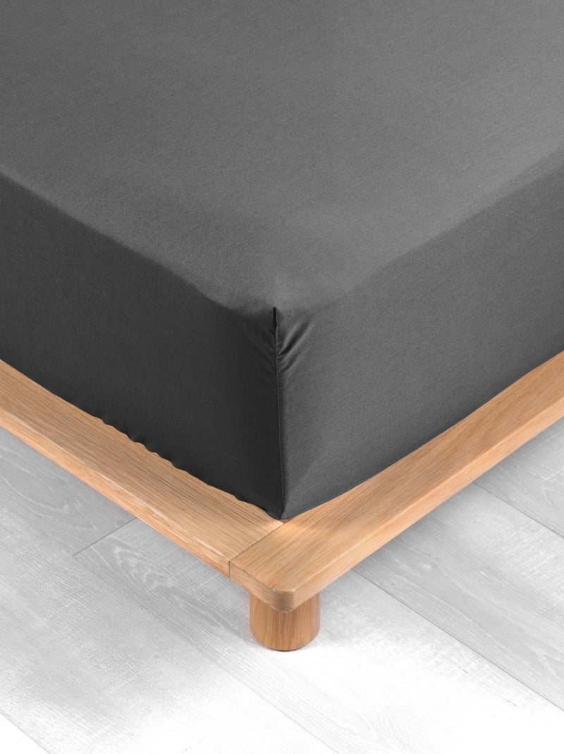 Lençol com elástico percal de algodão percale douceur d'intérieur Cinza - Kiabi