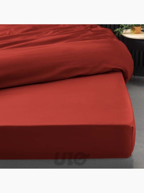 Lençol com elástico percal de algodão percale douceur d'intérieur - Kiabi Lençol com elástico percal de algodão percale douceur d'intérieur - Kiabi
