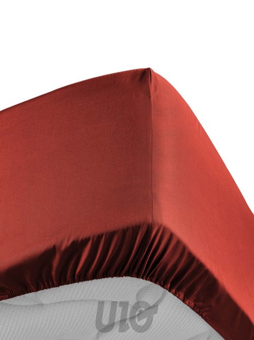 Lençol com elástico percal de algodão percale douceur d'intérieur - Kiabi Lençol com elástico percal de algodão percale douceur d'intérieur - Kiabi