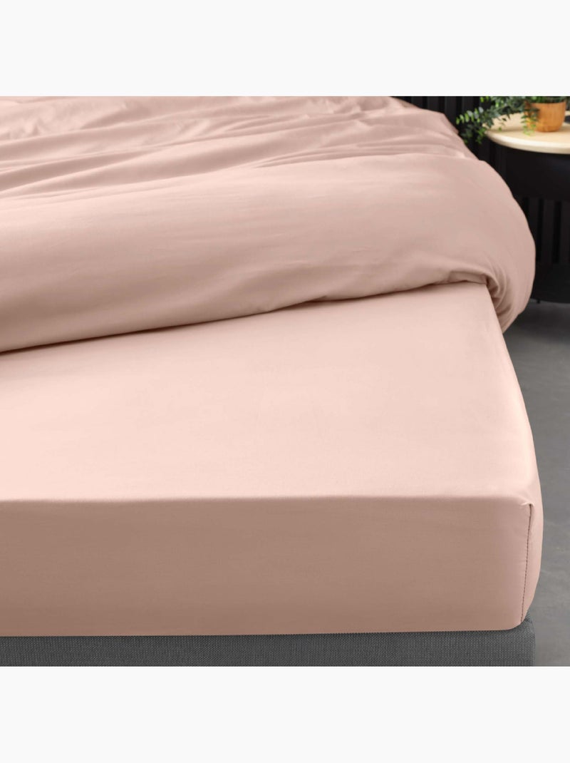 Lençol simples 100% algodão percal origine Rosa - Kiabi