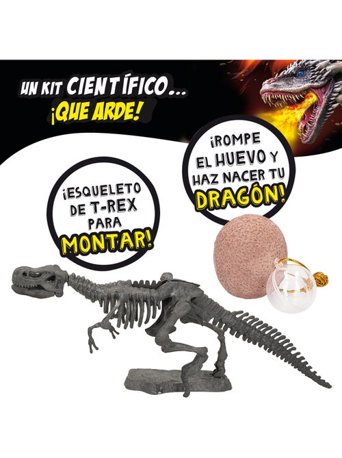 Lisciani jogo dos dinossauros e dragões crazy science - Kiabi Lisciani jogo dos dinossauros e dragões crazy science - Kiabi