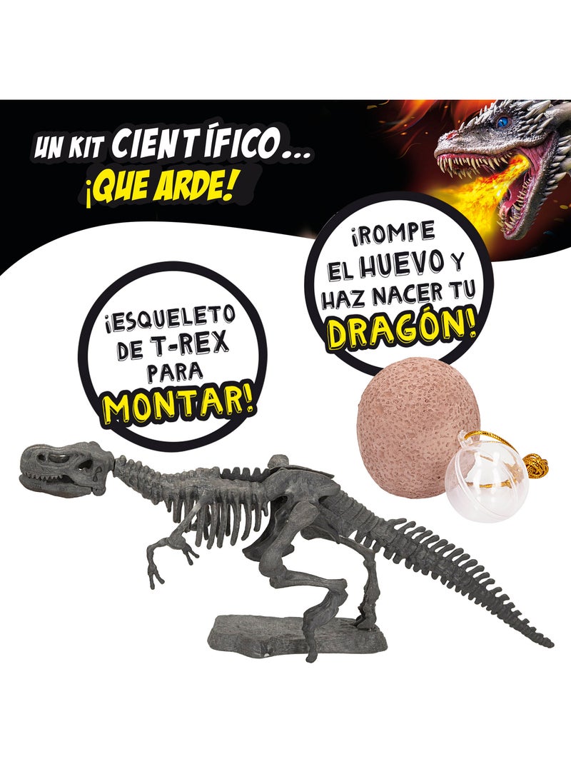 Lisciani jogo dos dinossauros e dragões crazy science N/D - Kiabi