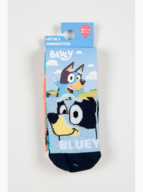 Lote 3 meias baixas bluey azul menino | licença oficial - Kiabi Lote 3 meias baixas bluey azul menino | licença oficial - Kiabi