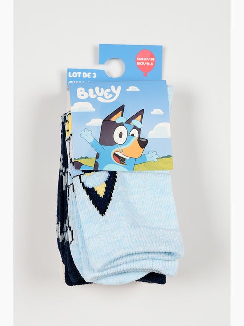 Lote 3 meias bluey azul menino | licença oficial - Kiabi Lote 3 meias bluey azul menino | licença oficial - Kiabi