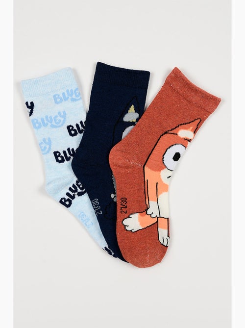 Lote 3 meias bluey multicolor menino | licença oficial - Kiabi Lote 3 meias bluey multicolor menino | licença oficial - Kiabi