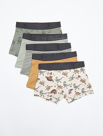 Lote 5 boxers lisos e estampados