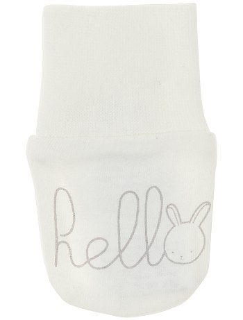 Lote de 2 luvas antiarranhões - Kiabi