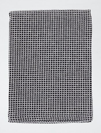 Lote de 2 panos de cozinha 50 x 70 cm, 190 g