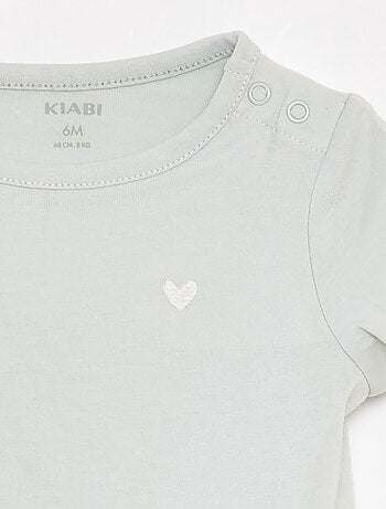 Lote de 2 t-shirts lisas