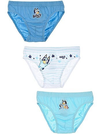 Lote de 3 cuecas bluey menino | licença oficial