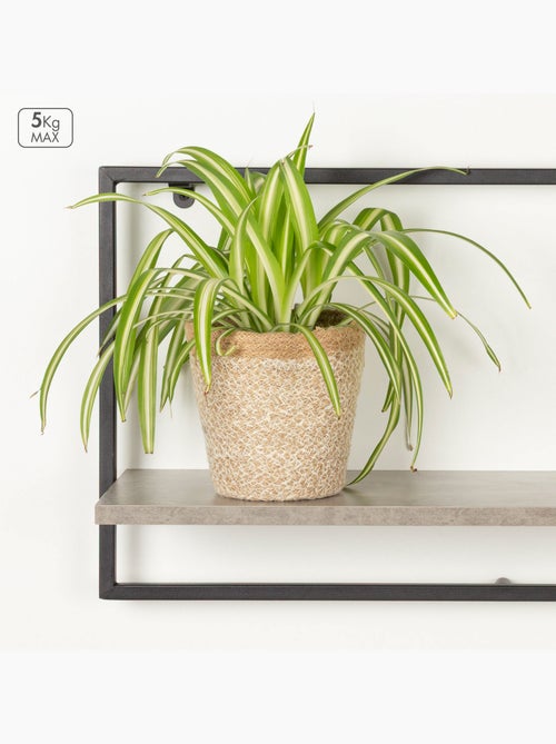 Max home prateleira de parede com efeito cimento 1 prateleira 65x20x35 cm - Kiabi