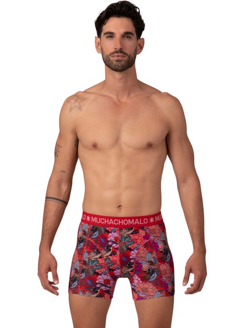 Pack de 10 boxers Muchachomalo - Kiabi