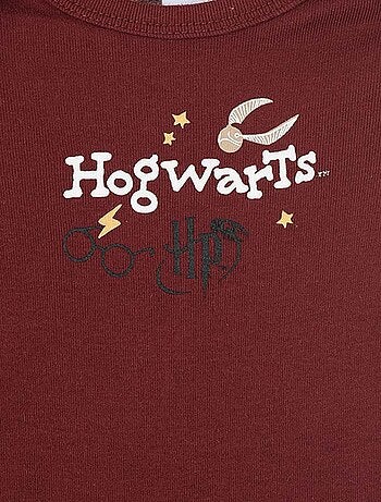 Pack de 2 bodies 'Harry Potter'