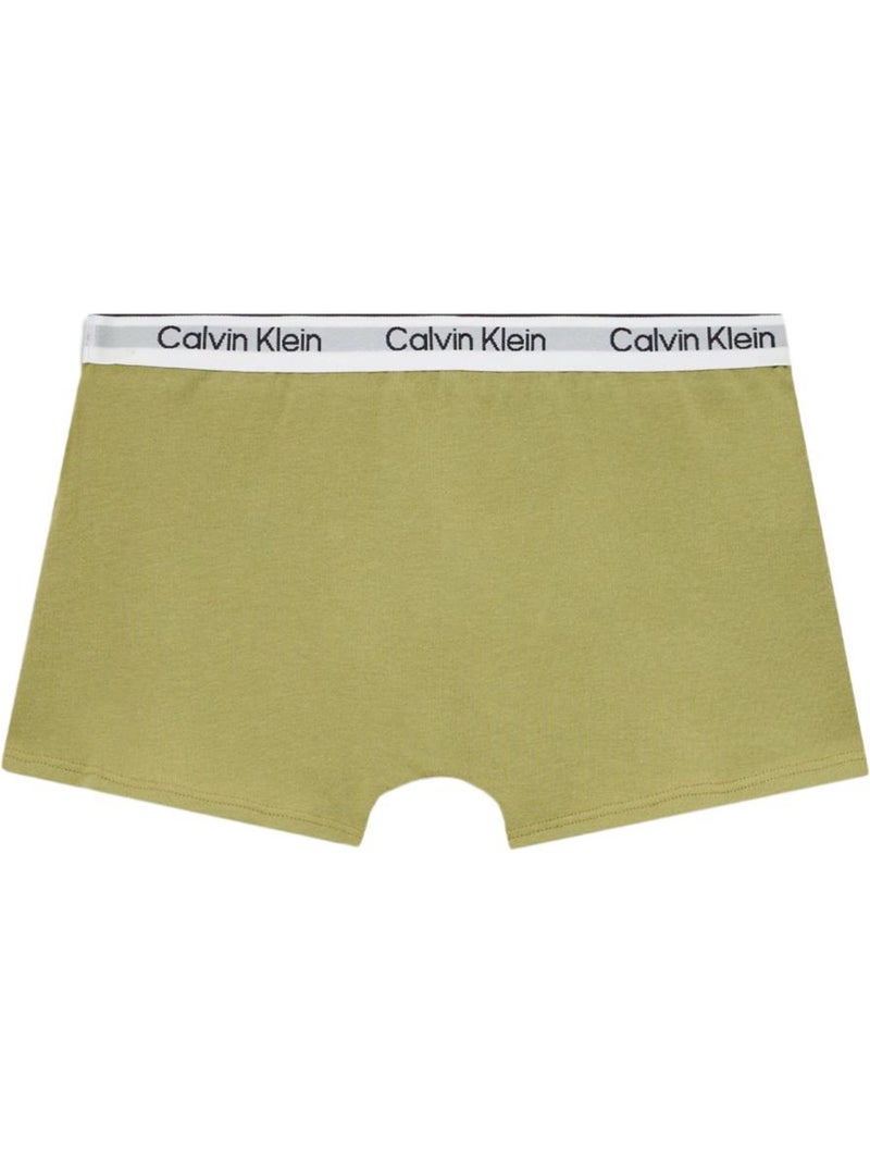 Pack de 2 Boxers Verdes para Rapaz Calvin Klein Jeans Verde - Kiabi