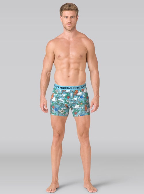 Pack de 3 boxers Muchachomalo - Kiabi