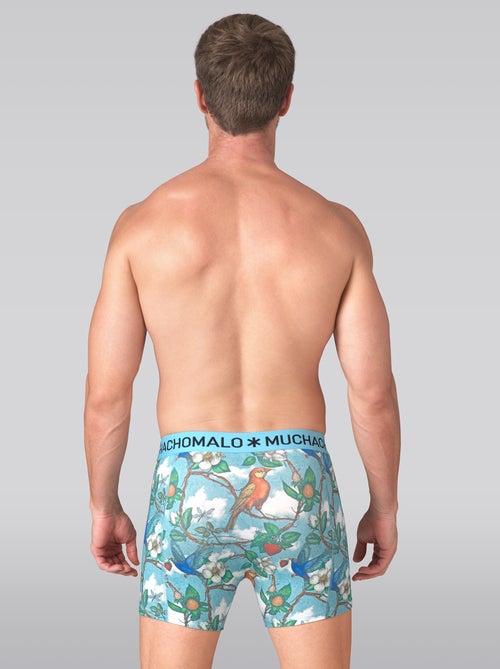 Pack de 3 boxers Muchachomalo - Kiabi