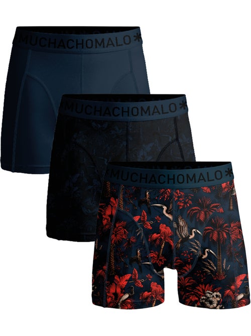Pack de 3 boxers Muchachomalo - Kiabi