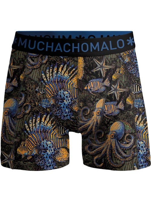 Pack de 3 boxers Muchachomalo - Kiabi