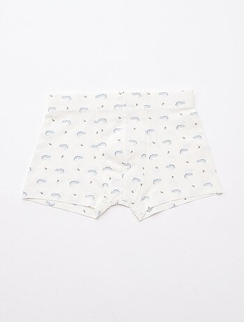 Pack de 5 boxers fantasia