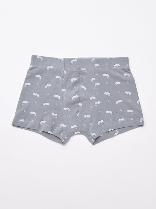 Pack de 5 boxers fantasia - Kiabi