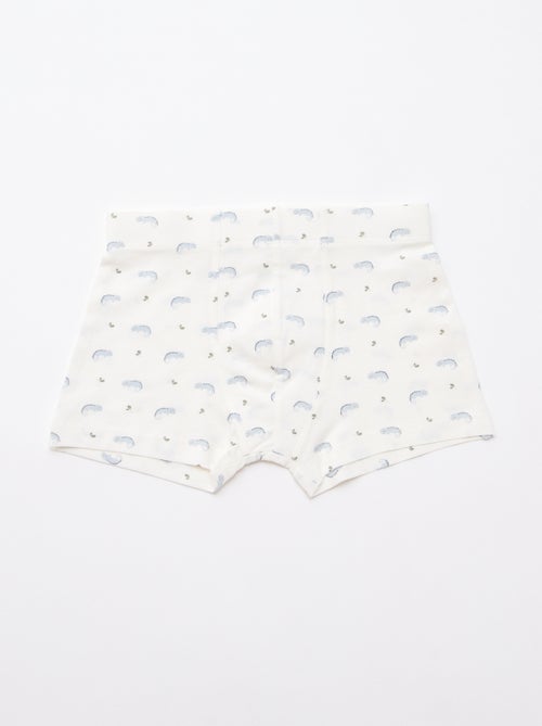 Pack de 5 boxers fantasia - Kiabi