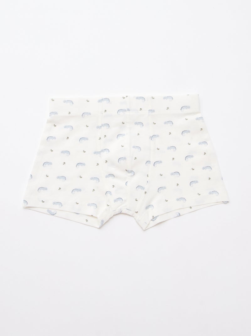 Pack de 5 boxers fantasia Azul - Kiabi