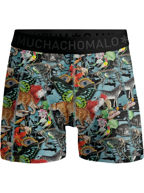 Pack de 7 boxers Muchachomalo - Kiabi