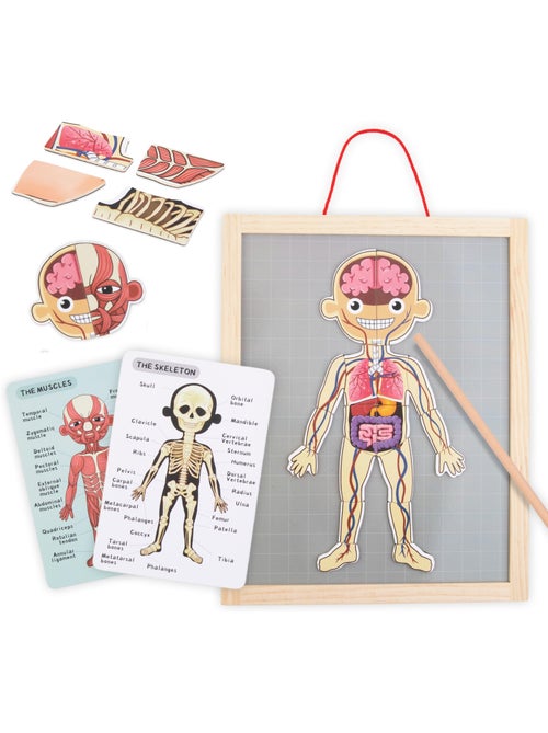 Painel magnético anatomia corpo humano madeira mamabrum - Kiabi Painel magnético anatomia corpo humano madeira mamabrum - Kiabi