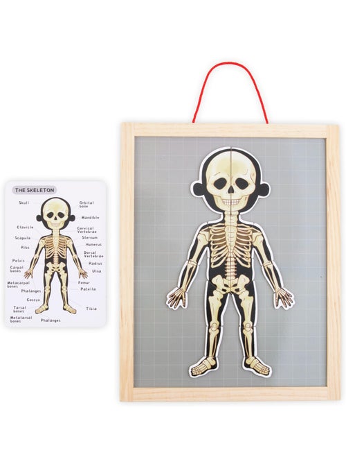 Painel magnético anatomia corpo humano madeira mamabrum - Kiabi Painel magnético anatomia corpo humano madeira mamabrum - Kiabi