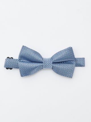 Papillon