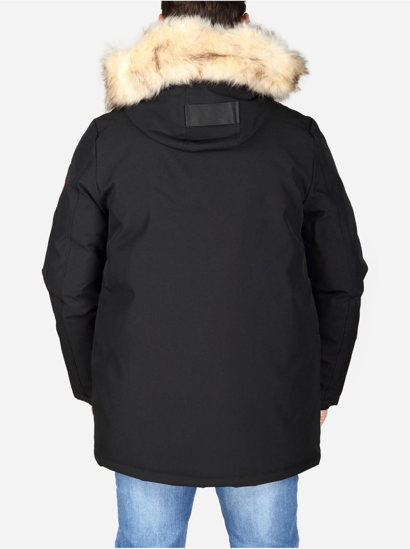 Parka com capuz - paragoose Preto - Kiabi