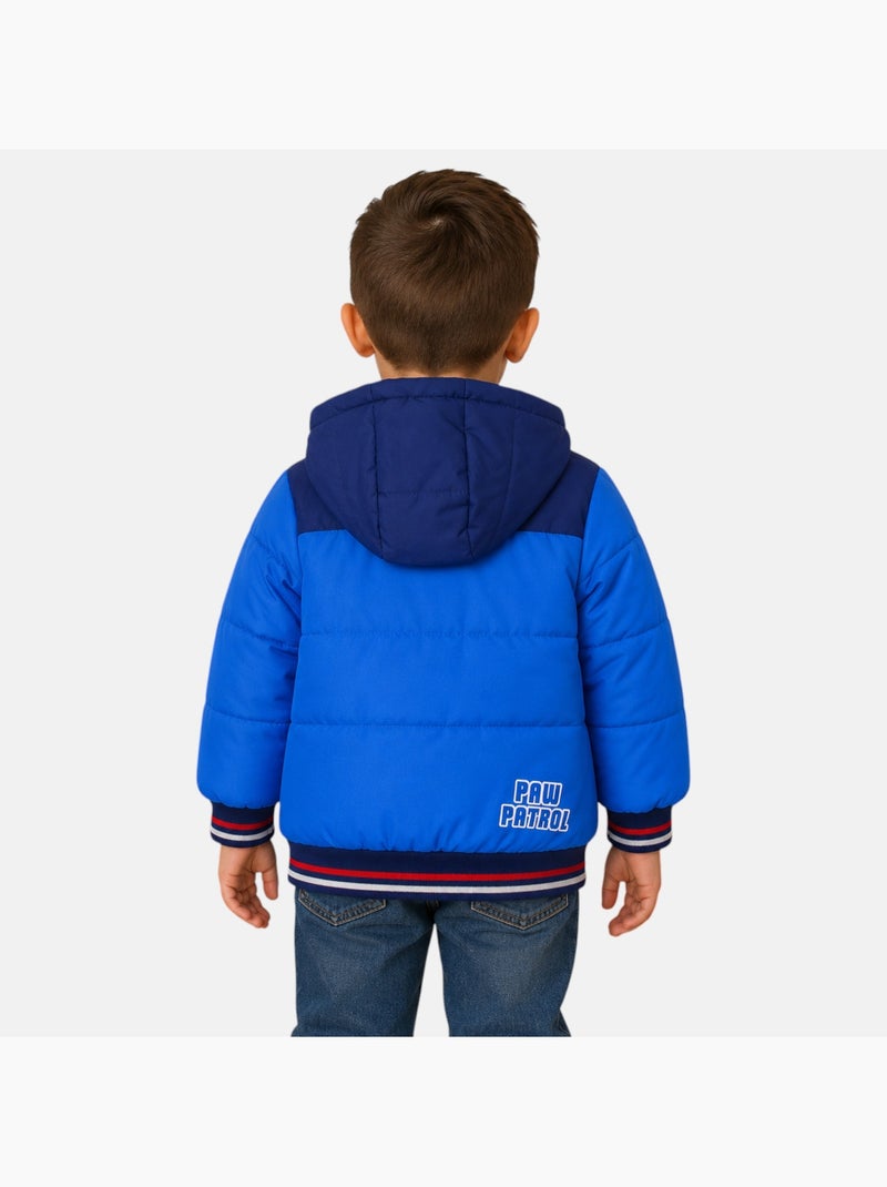 Paw Patrol - Casaco acolchoado menino estampado Azul - Kiabi