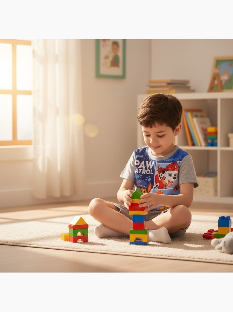 Paw Patrol - Conjunto menino Cinza - Kiabi
